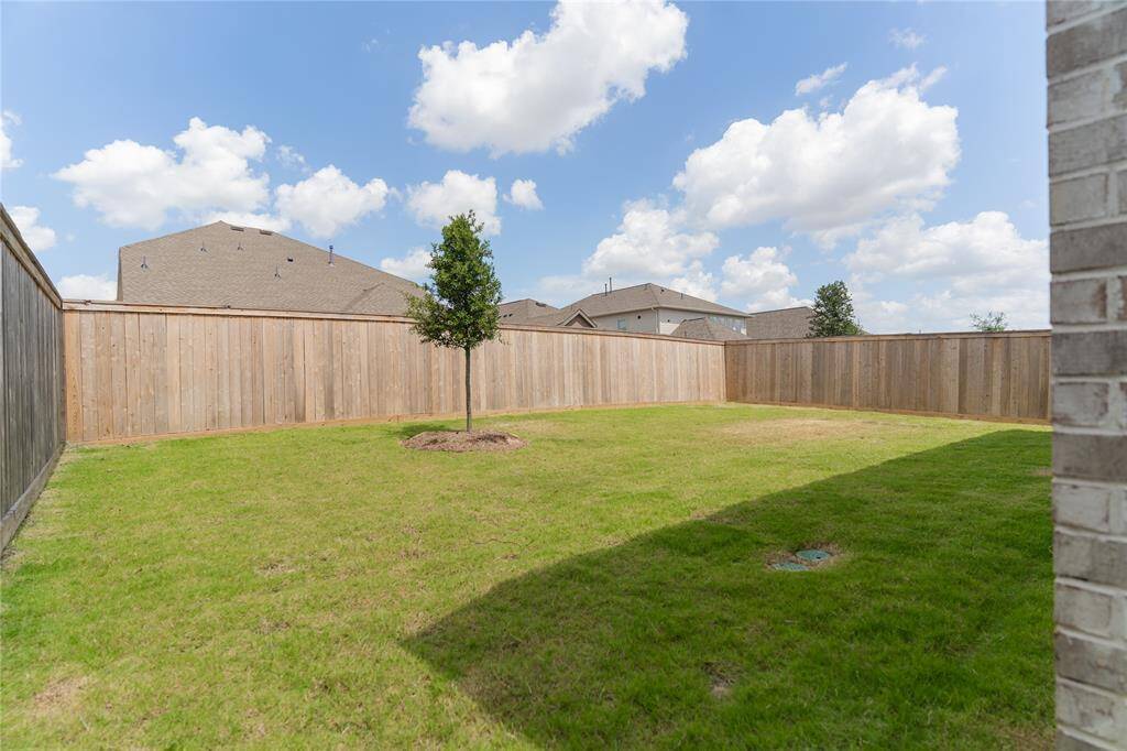 Spacious backyard with a well-maintained lawn, privacy fencing, and a young tree. Ideal for outdoor activities and relaxation.