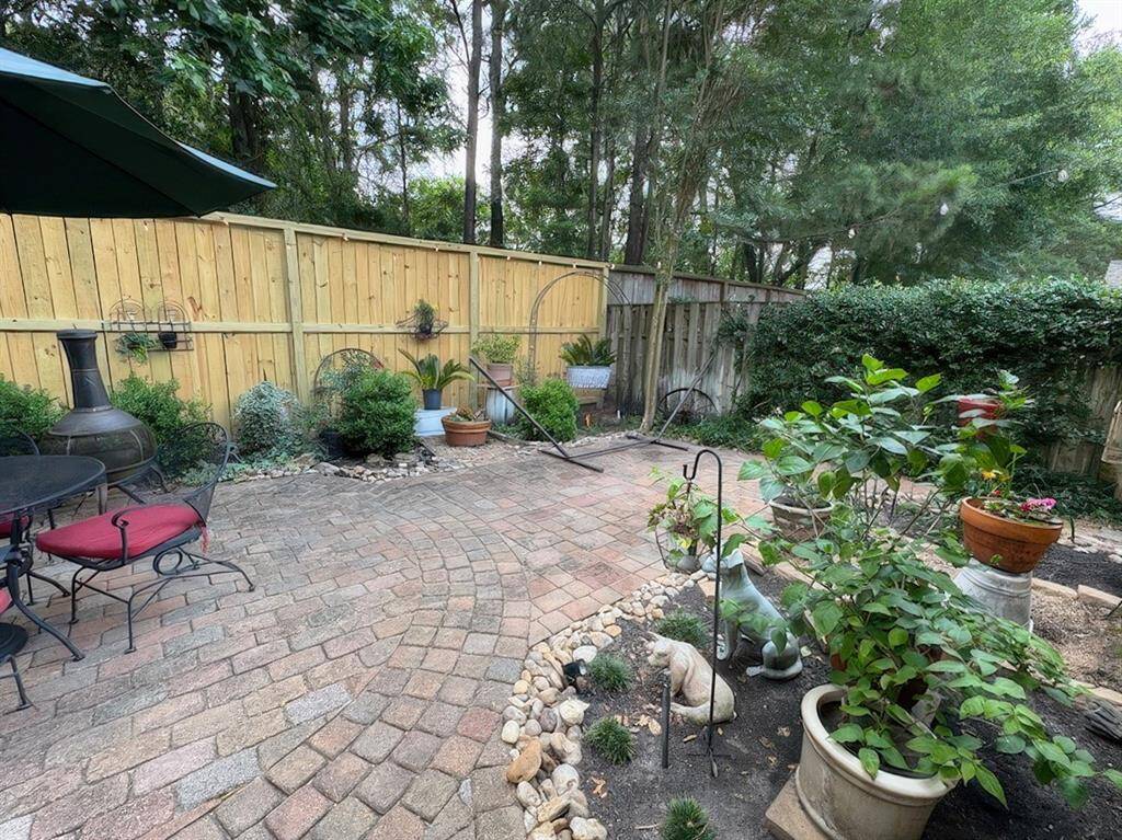 View of backyard/patio
