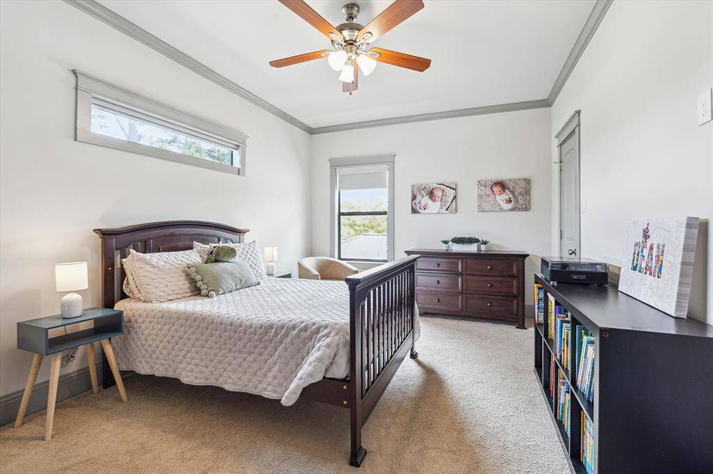 Secondary bedroom with fan, carpet flooring and several windows