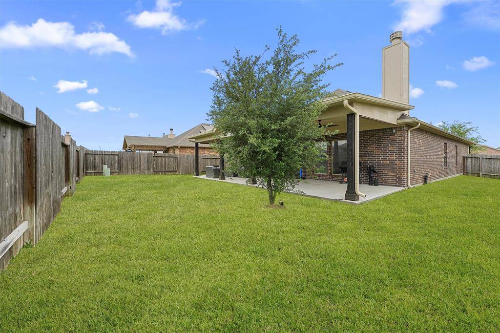 Large Backyard