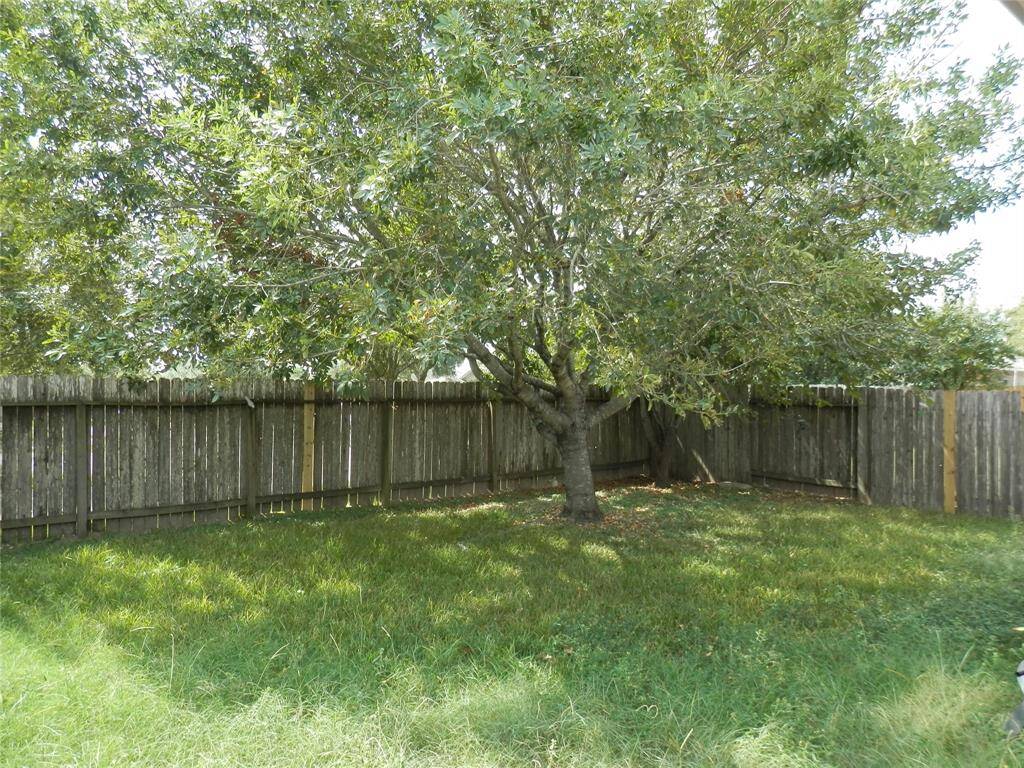 Large backyard has plenty of room for fun and games