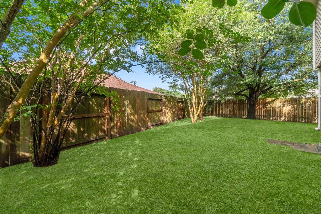 Backyard