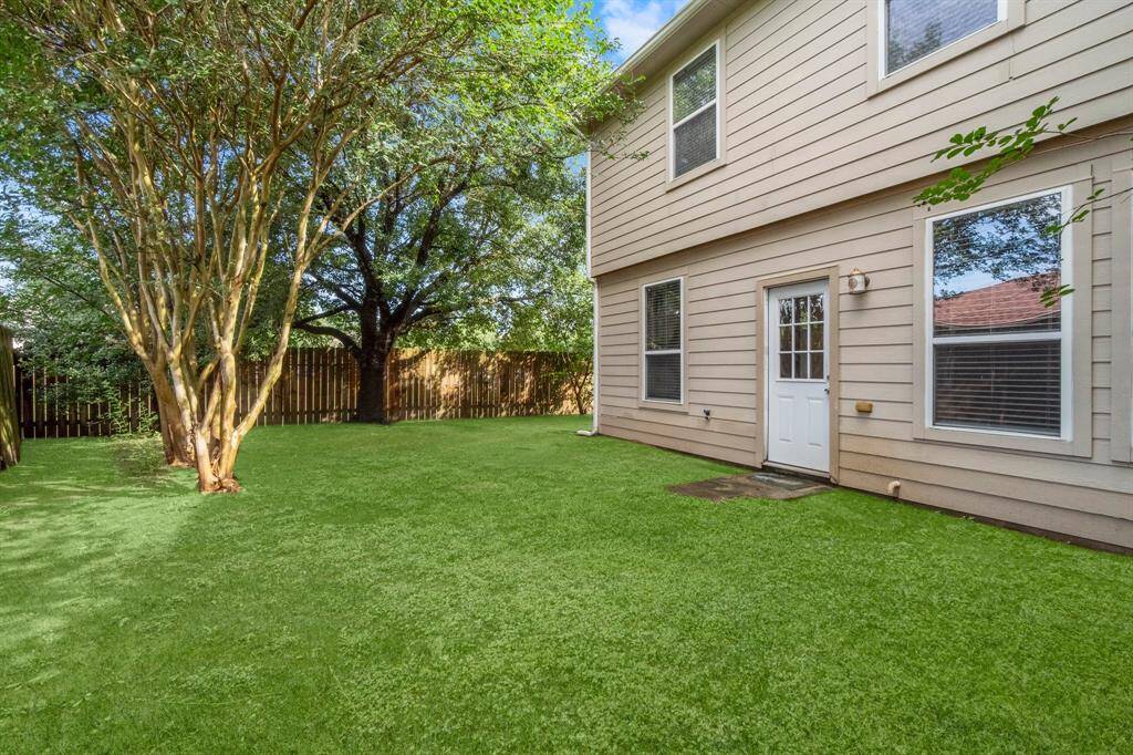 Backyard