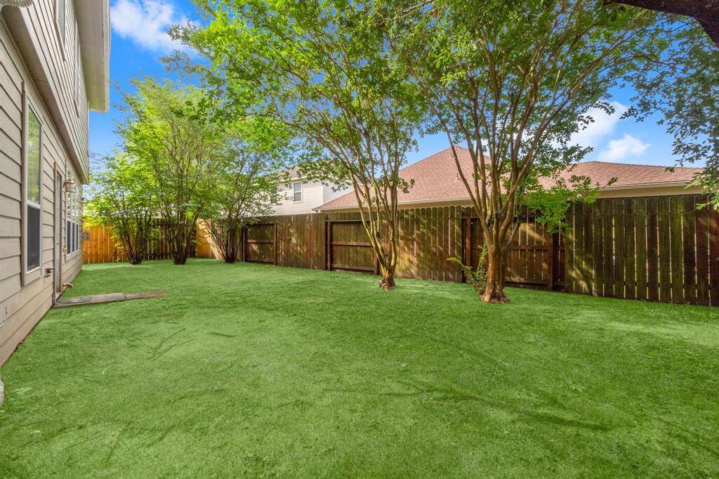 Backyard