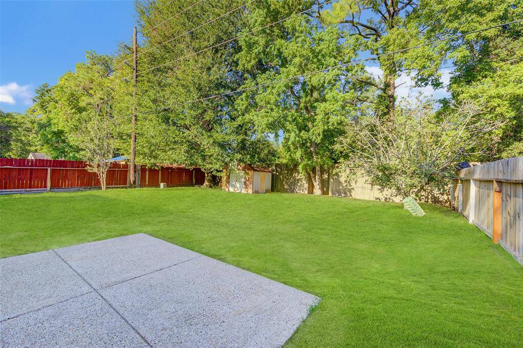 Backyard