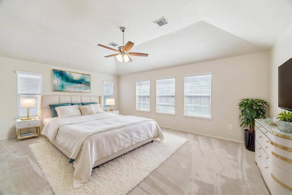 Large primary with vaulted ceilings