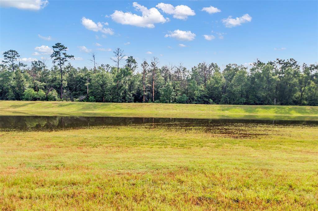 A most peaceful view, right out your back door!