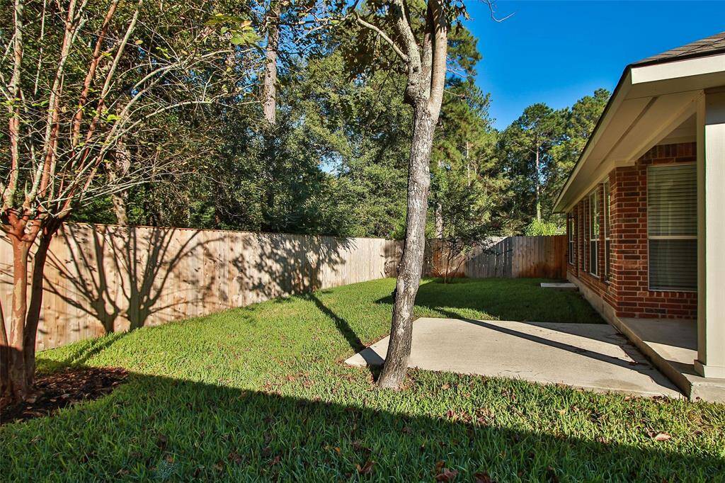 Private Backyard that backs to a Greenbelt Reserve.