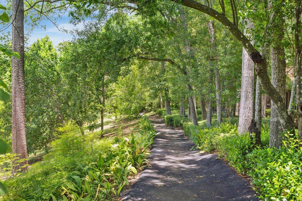 Peaceful walking trails behind the home