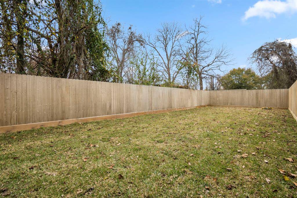 View of the backyard.
