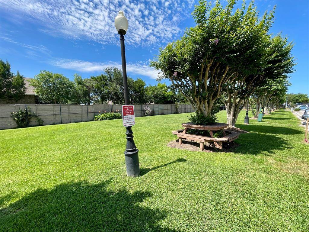 GREEN SPACE FOR YOUR FUR BABIES