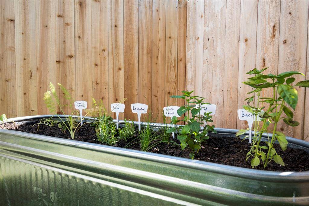 Vegetable garden