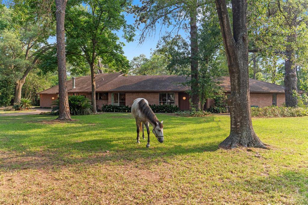 Horses welcome, but not included….
