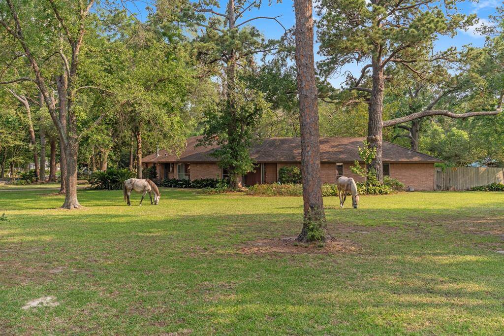 Huge side yard on north side of property, perfect for large pets!