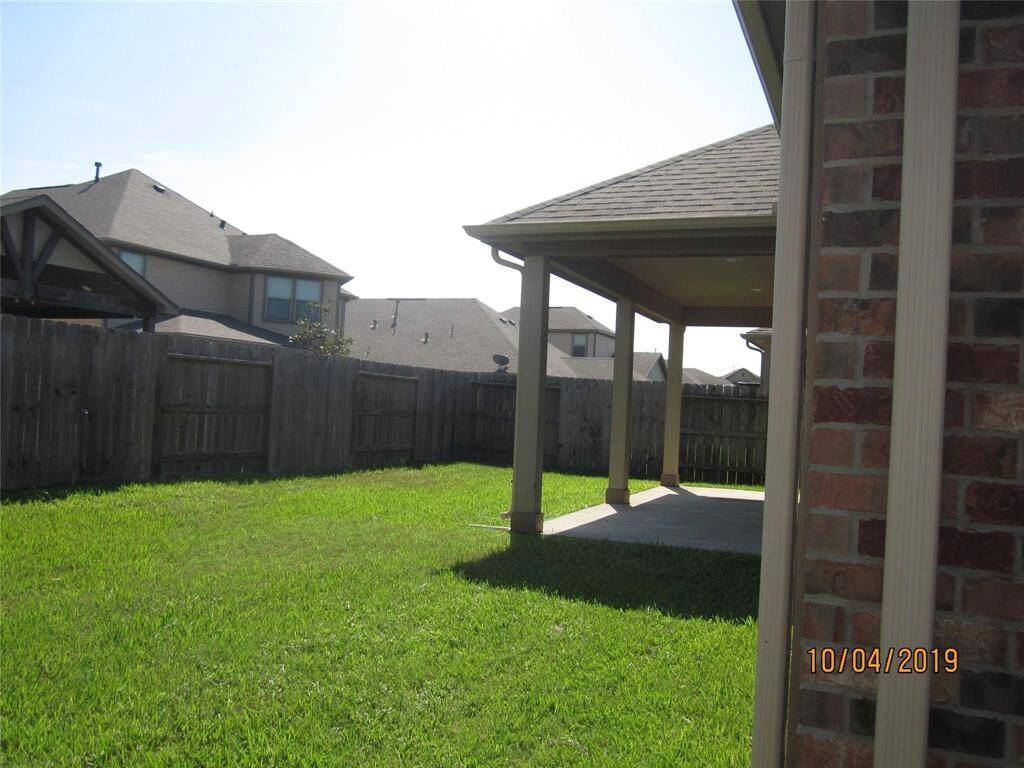 Back yard