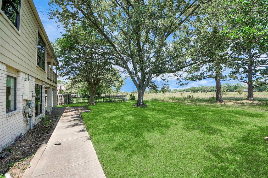 Open backyard and no back neighbors