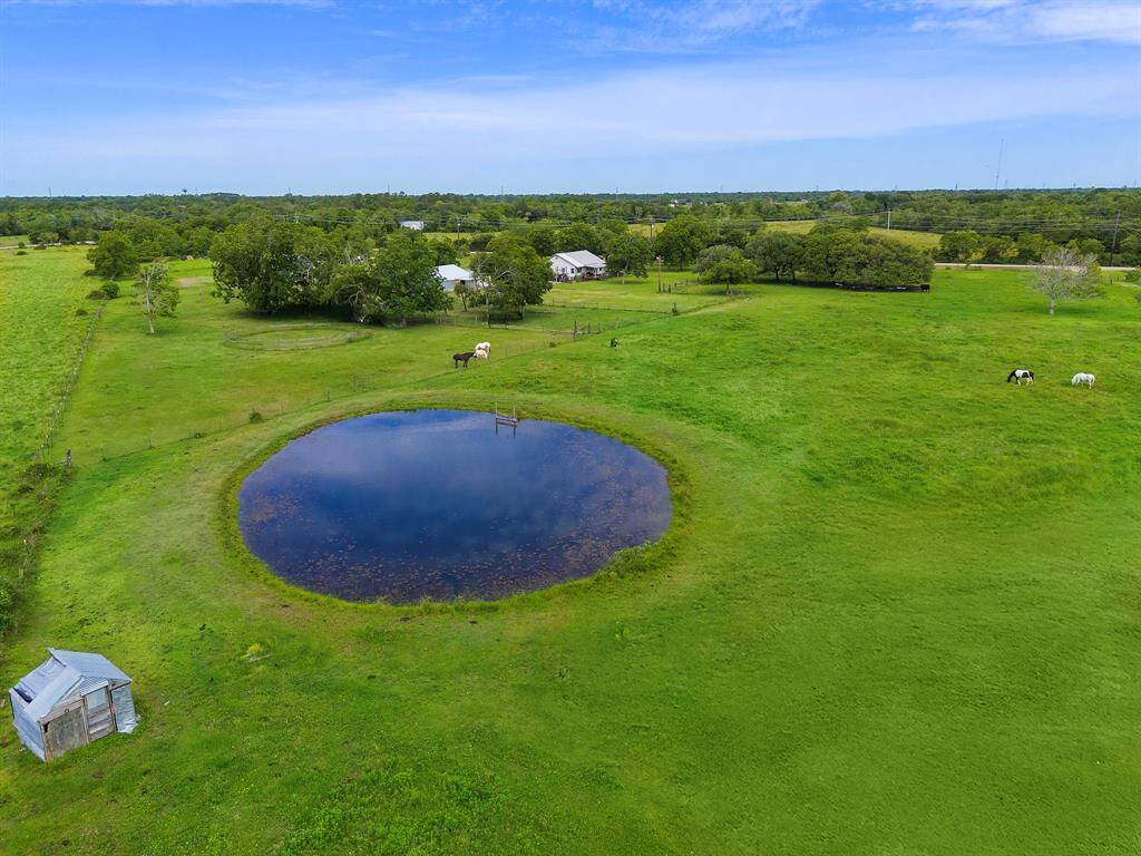 14 ft equestrian Pond