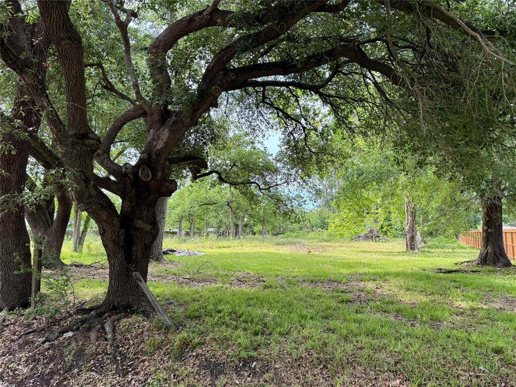 This peaceful wooded lot with mature trees provides shade and a grassy open space, ideal for nature lovers seeking a serene and private setting for a homestead.