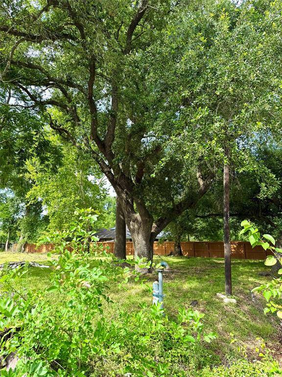 With its spacious, grassy lot with mature trees providing ample shade, the lot features a paved road in the foreground suggesting a quiet, residential neighborhood.