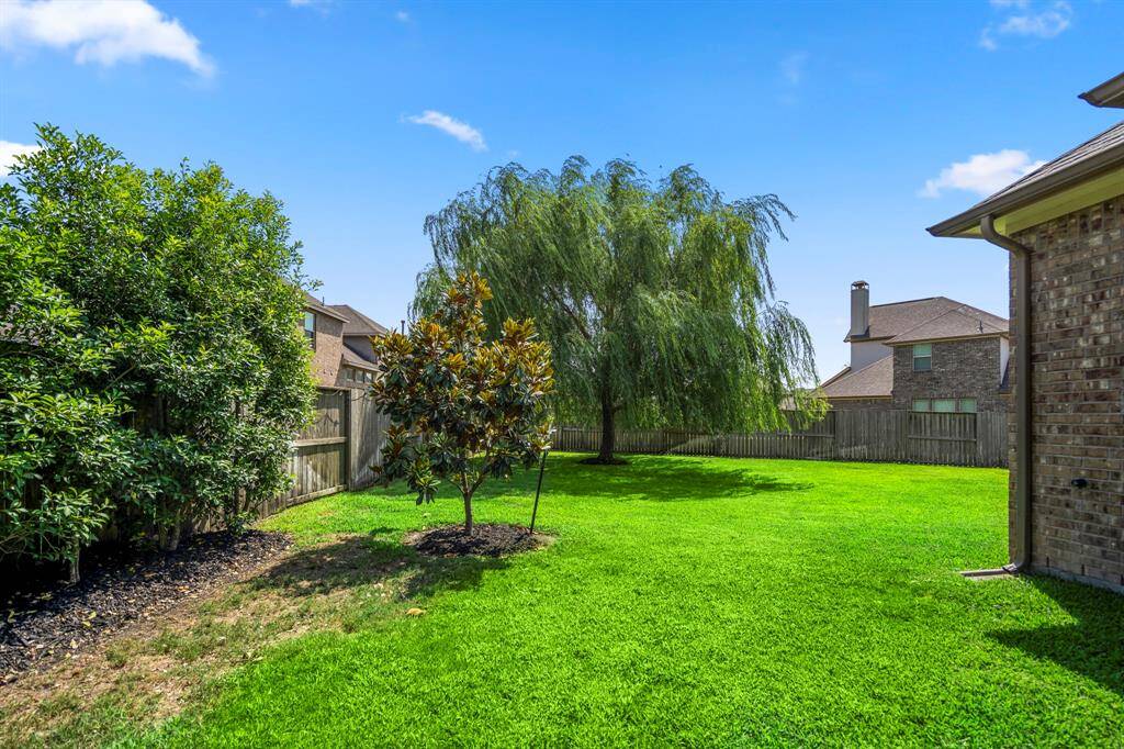 The backyard affords plenty of grass area for children to kick the ball or for your pets to explore, beautiful established trees and recently replaced fence.