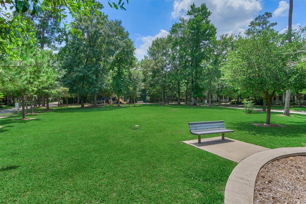 Tons of green space for the kids and pets to play in Cottage Green Park!