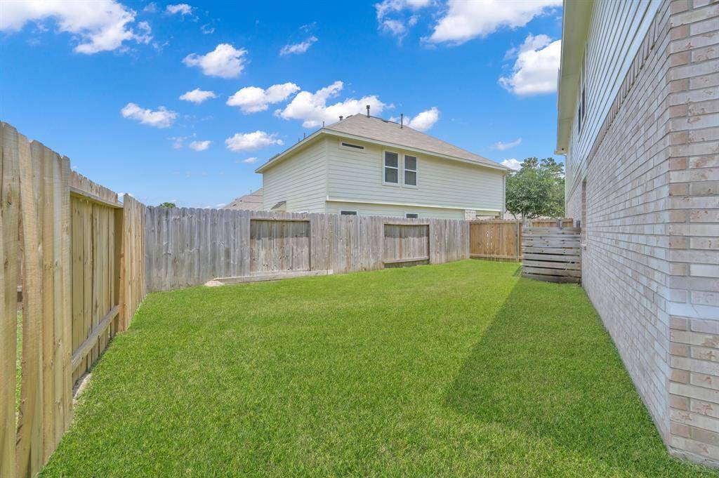 Side of the house, Back Yard.
