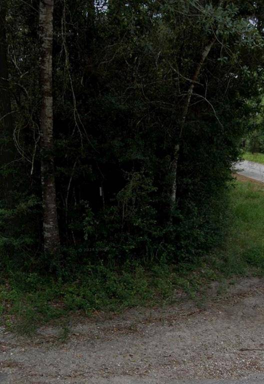 Property Image 32