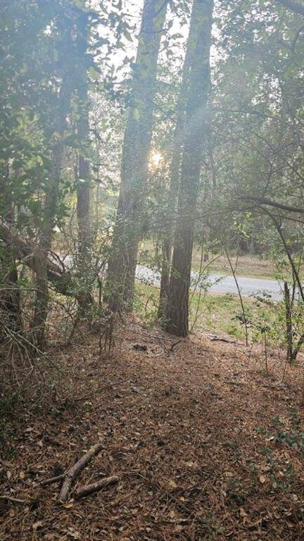 Property Image 41