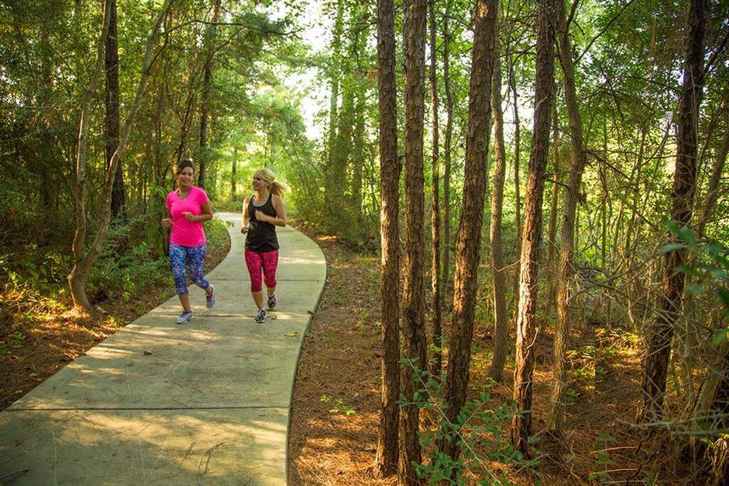 Miles of shaded jogging trails