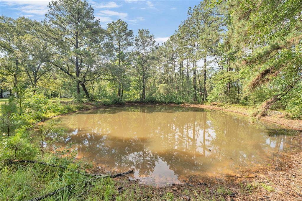 Pond