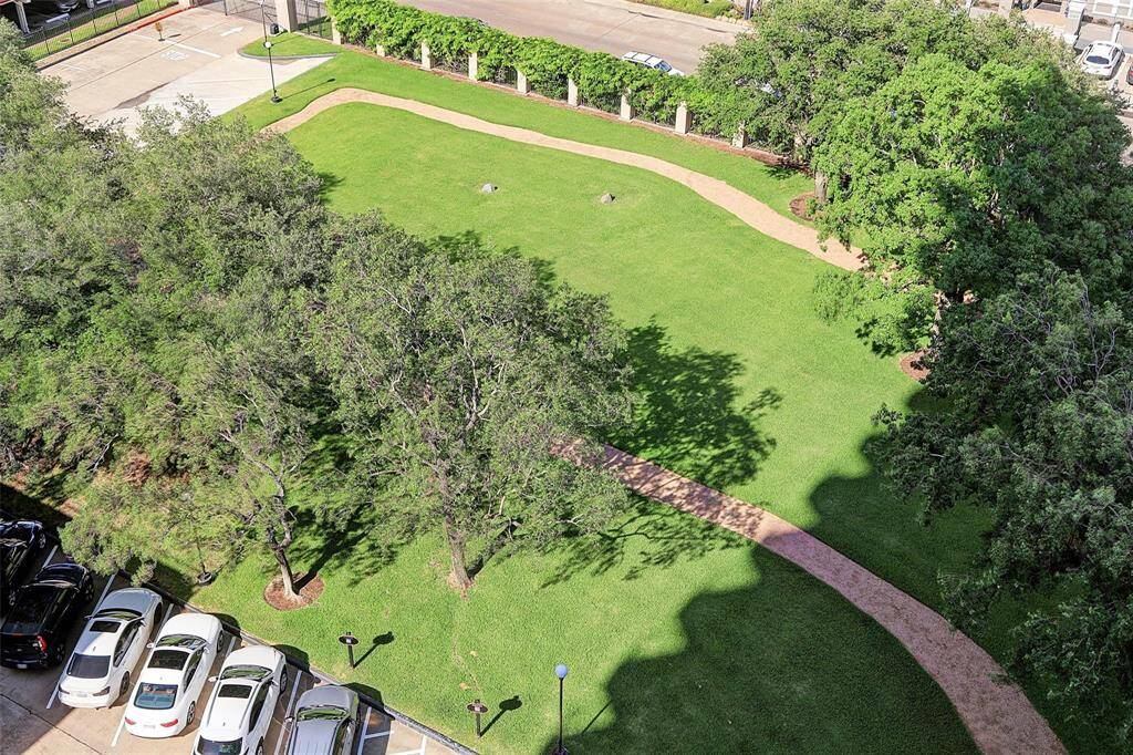 Park. Lots of gust parking.