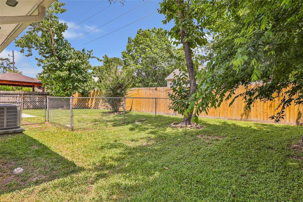 Another view of the backyard.
