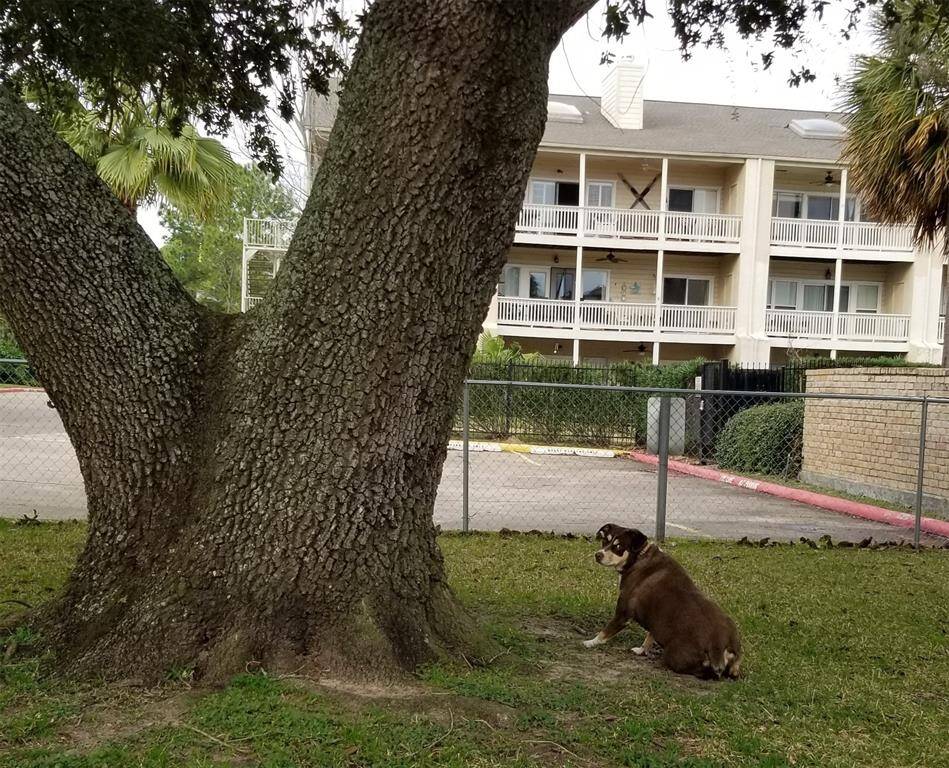This property features a secure, enclosed dog park—perfect for pet owners!