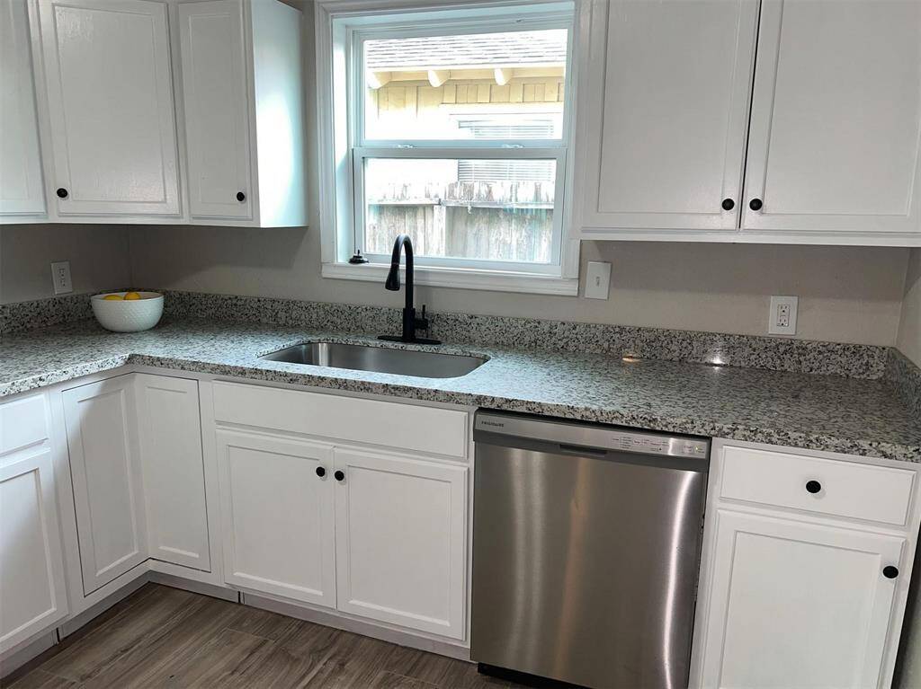 Stainless steel dishwasher and large sink