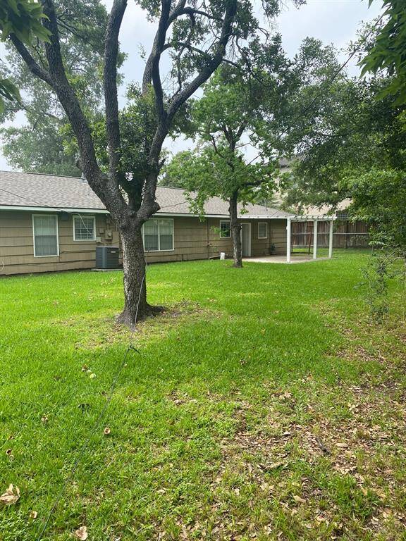 Another View of Backyard