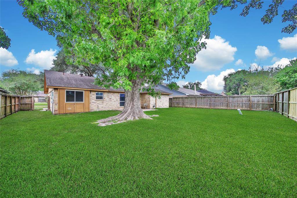 View of backyard.