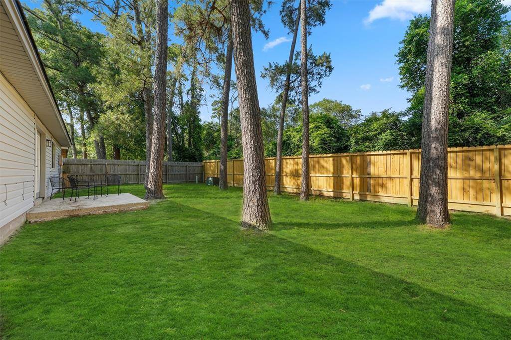 nice backyard with new fence and no neighbors behind!