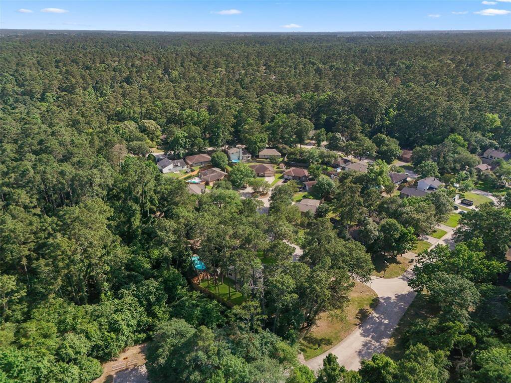 Surrounded by trees!
