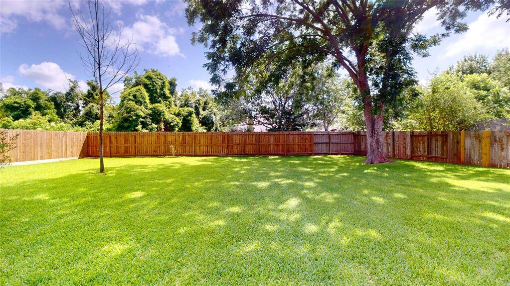 Huge Backyard