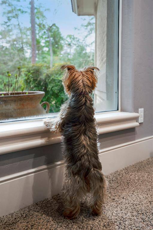Are you home yet?