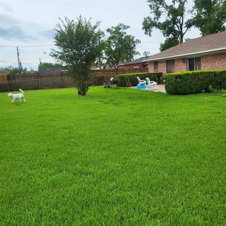 Backyard View