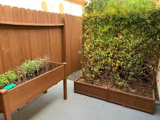 Cozy patio with a charming small garden, perfect for relaxation and outdoor enjoyment.