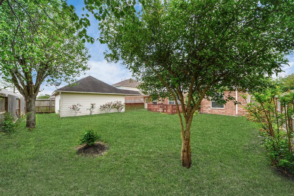 Property Image 41