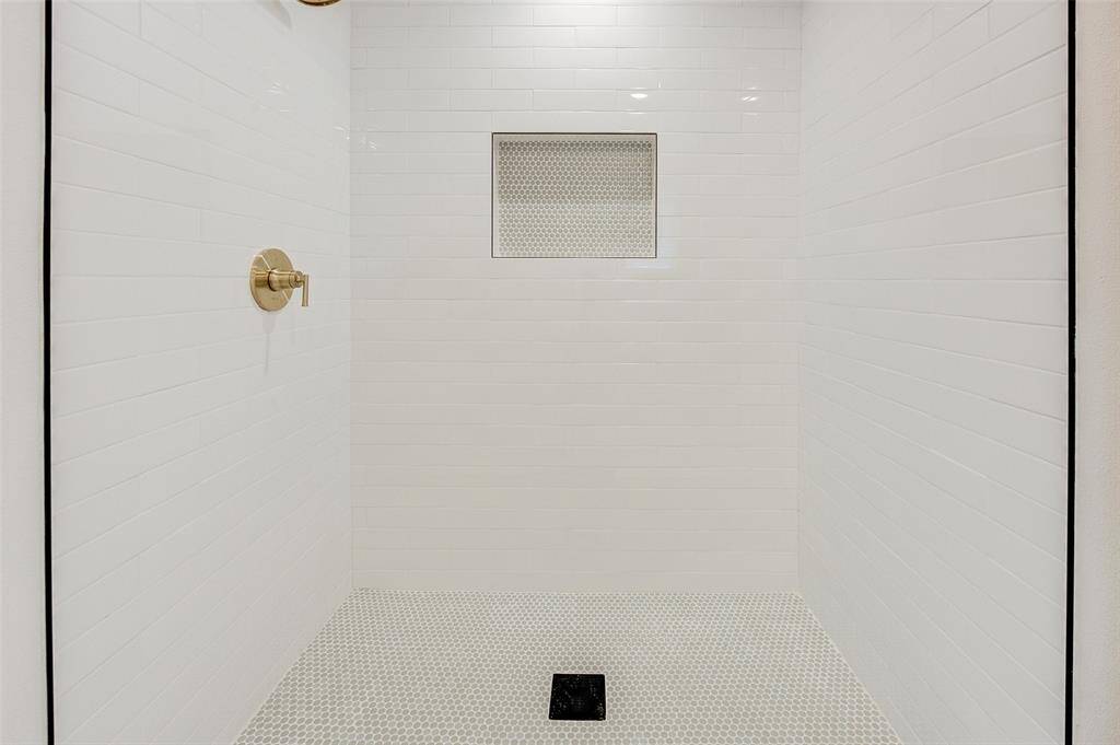 Primary Shower