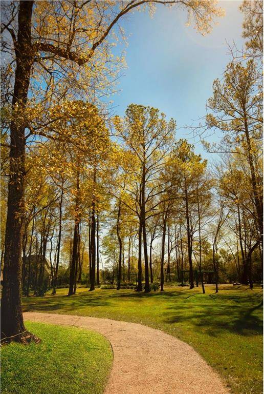 Enjoy the view, as you walk through the trails at The Groves.