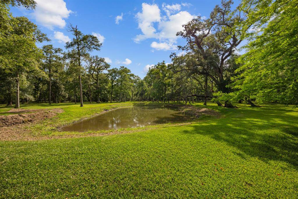 Charming water’s-edge perspective capturing the tranquil pond and verdant lawn. A great spot for observing the frequent wildlife visitors.