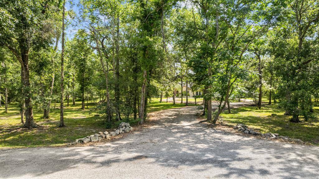 Charming approach framed by mature trees and natural stone edging, offering a private, forested welcome to the estate.