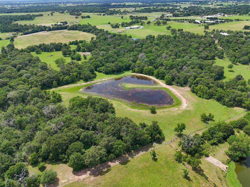 View of 2nd stocked fishing pond