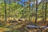 A line of trees along the back of the property for extra privacy