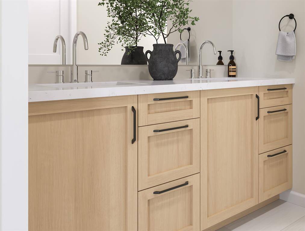 Elegant primary bathroom featuring sleek fixtures, ample counter space, and stylish cabinetry for a modern touch.